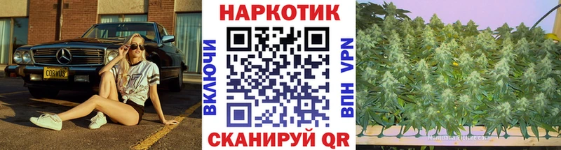Где купить наркотики Кирсанов APVP  Галлюциногенные грибы  Мефедрон 