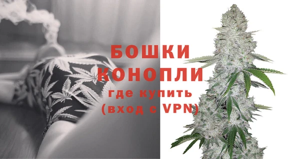 дурь Богданович