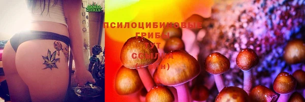 спиды Киреевск