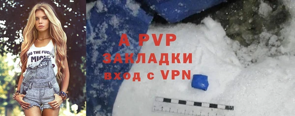спиды Киреевск